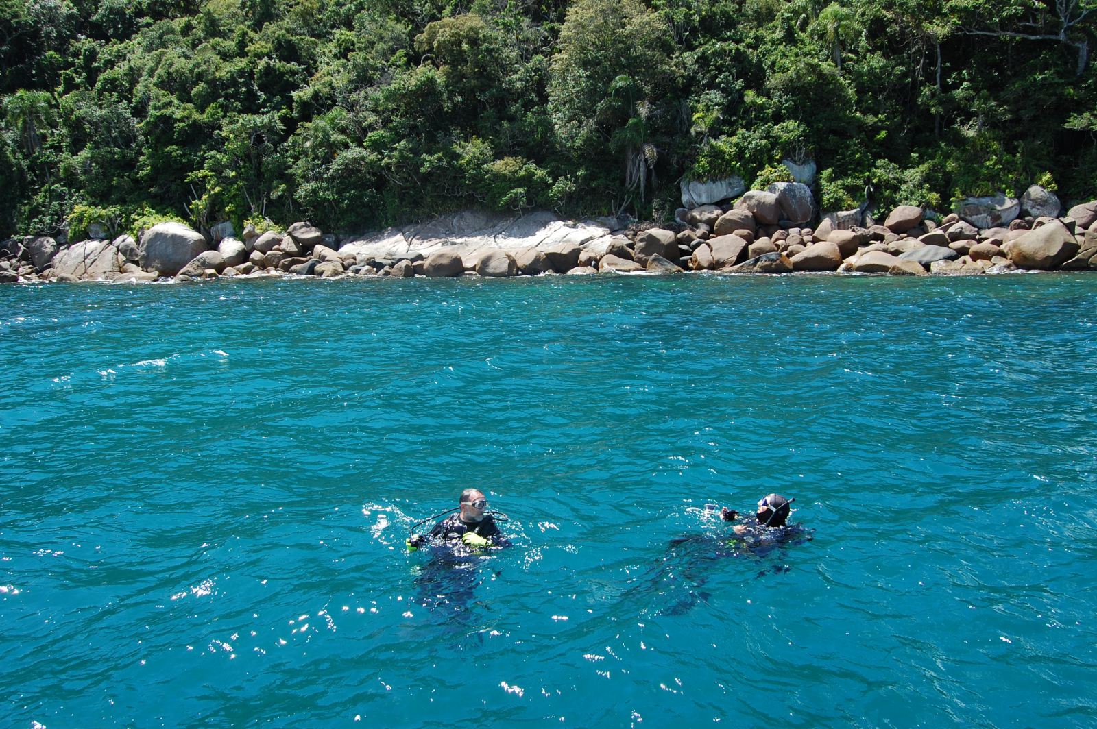 Scuba Diving Arvoredo Island