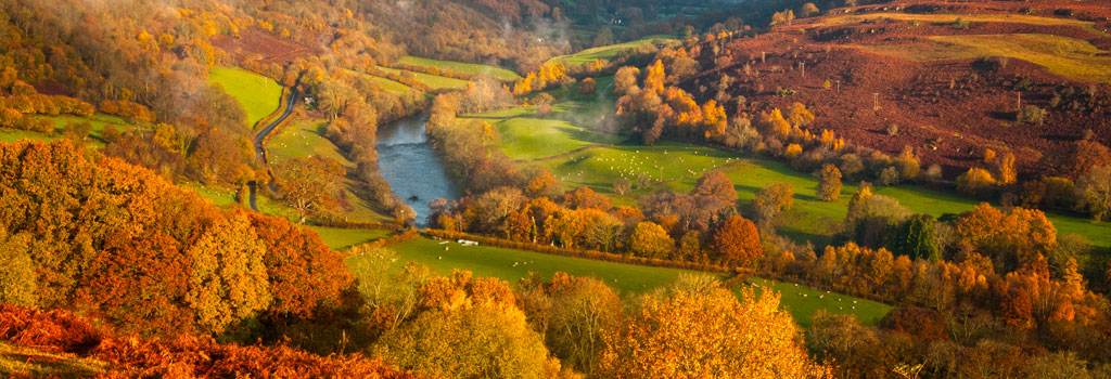 Wye Valley