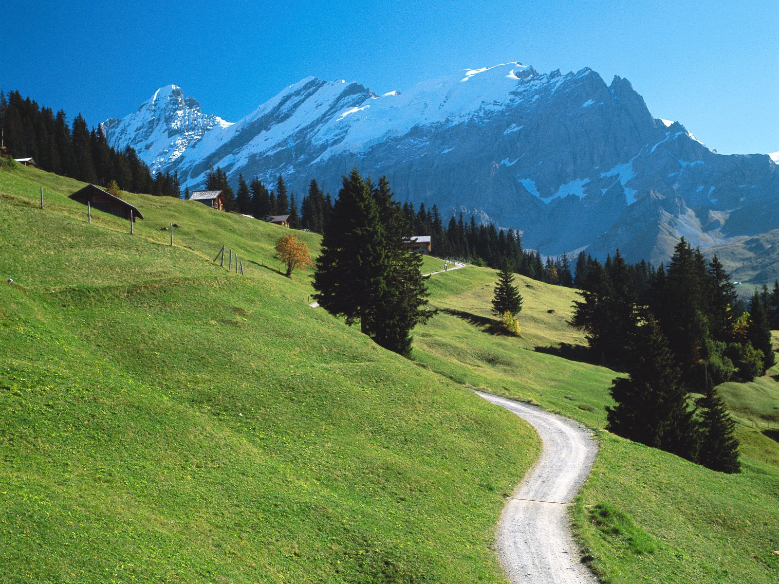 Bernese-Oberland-Switzerland