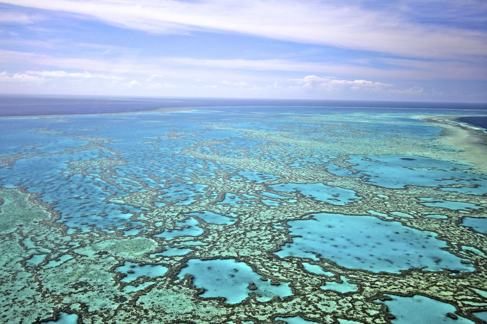 great barrier reef