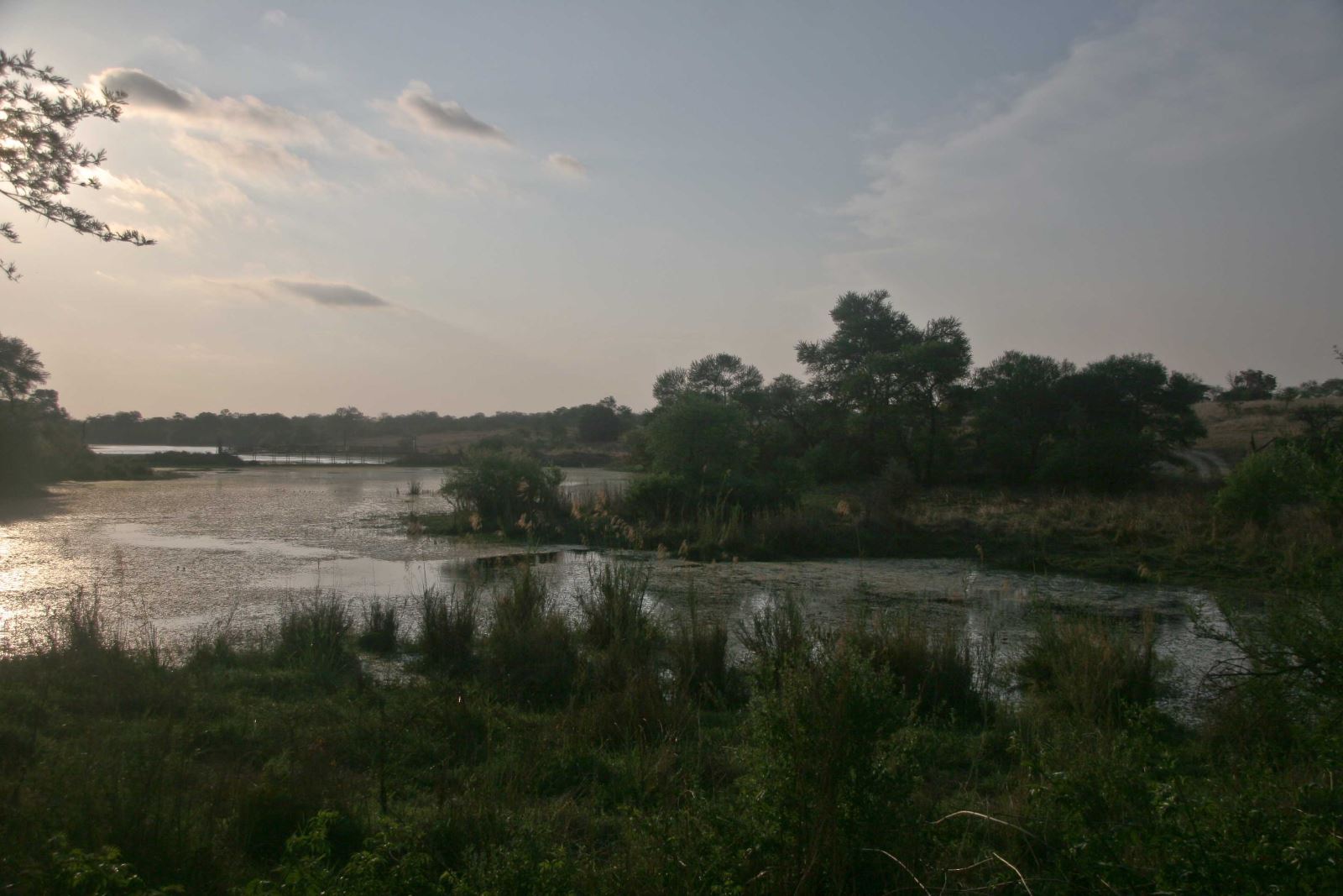 antelope park gweru zimbabwe