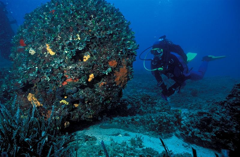 Kornati diving