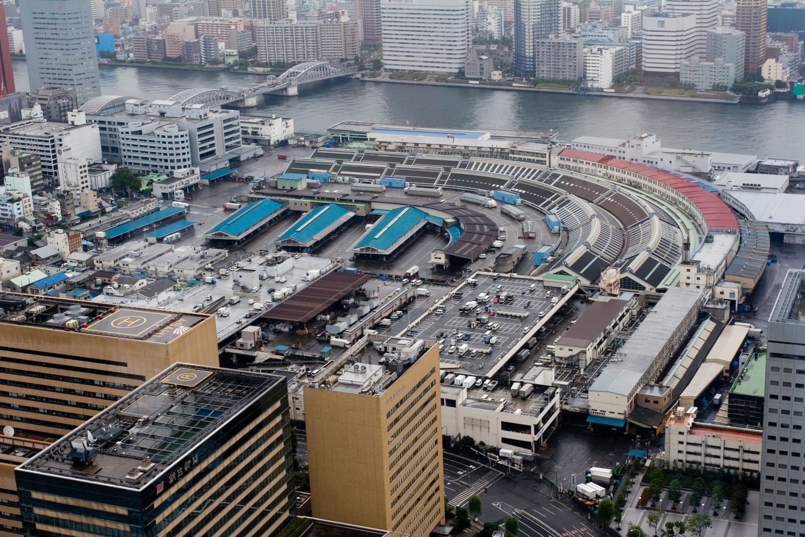 Tsukiji Fish Market 