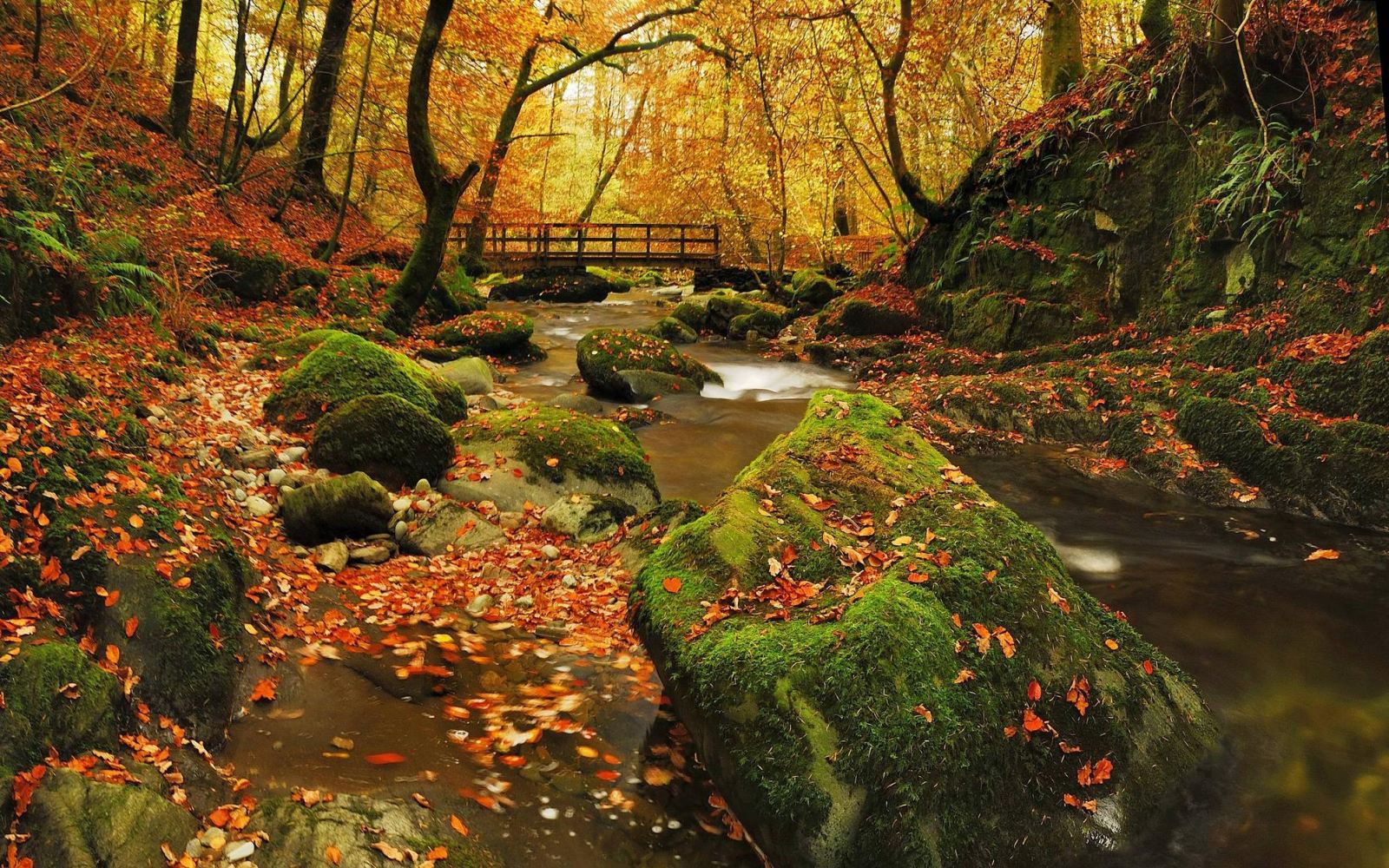 Grizedale Forest