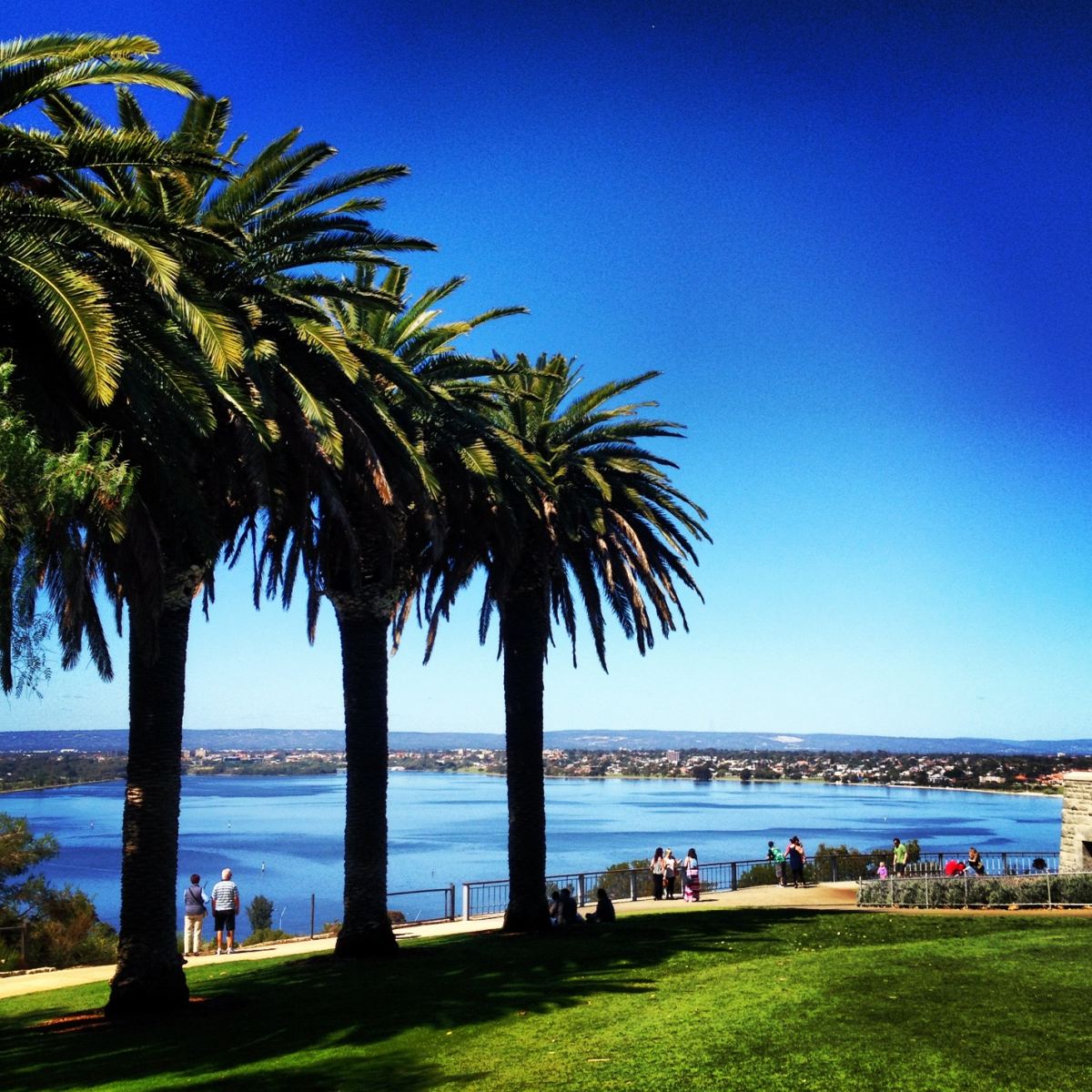 kings park