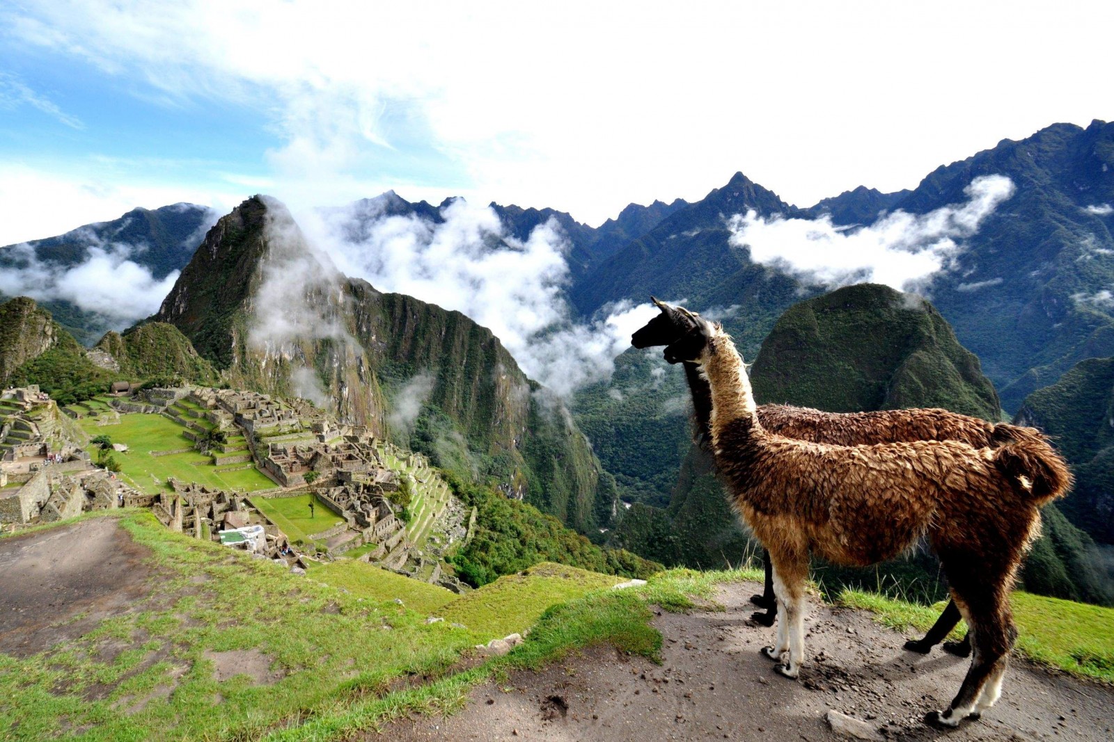 Destination of the week: Peru-391