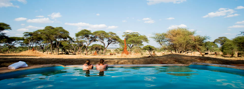 sanctuary-swala-tanzania-pool