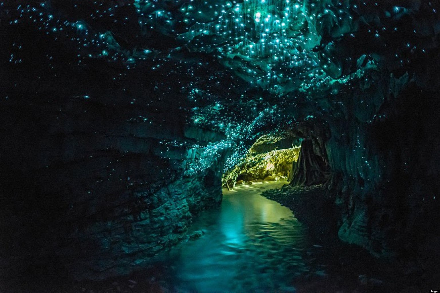 Waitomo Glowworm Caves 